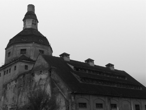 Ruine im Ostragehege, Dresden 2010